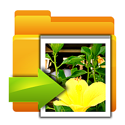 Folder Shared Pictures Icon 256x256 png